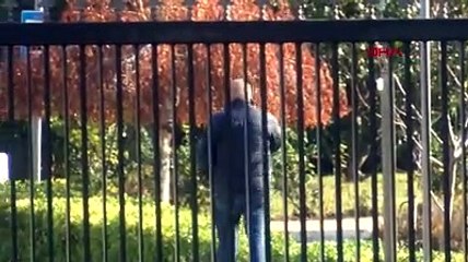 Gecekondudaki katliamın sırrı çözüldü! İfadesinin her satırı şoke etti