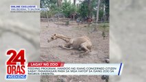 ONLINE EXCLUSIVE: Feeding program, handog ng isang concerned citizen sabay panawagan para sa mga hayop sa isang zoo sa Negros Oriental | 24 Oras Weekend