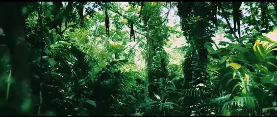 Predator Prey 2 (2024) Official Trailer – Action-Packed Sequel 🚨