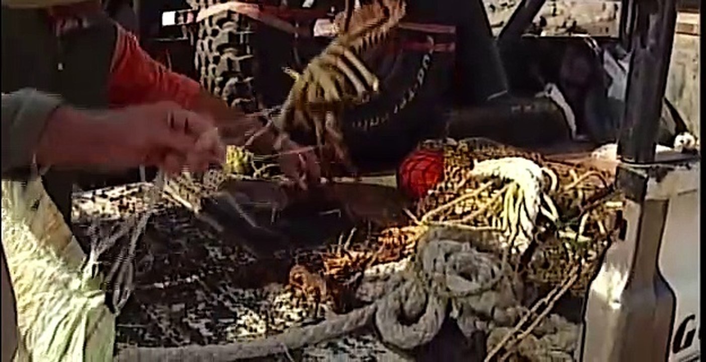 Saddle Hill Trip. Episode 4: Saddle-Hill, Teil 2.