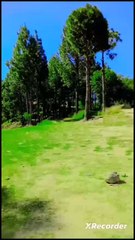 Syed khalid Hussain shah