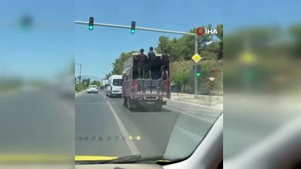 Görenlerin yürekleri ağızlarına geldi