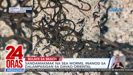 Sandamakmak na sea worms, inanod sa dalampasigan sa Davao Oriental | 24 Oras Weekend