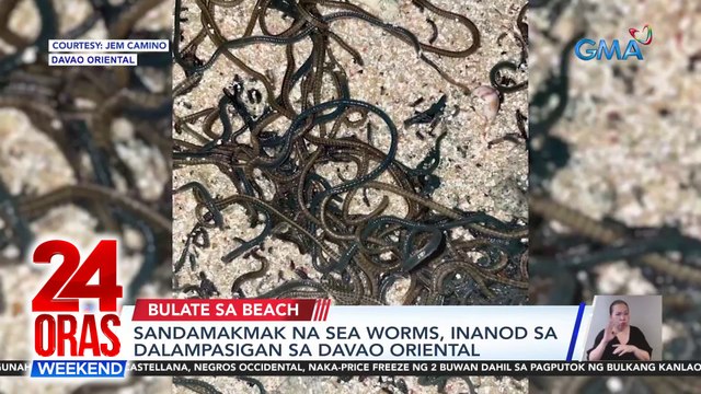 Sandamakmak na sea worms, inanod sa dalampasigan sa Davao Oriental | 24 Oras Weekend