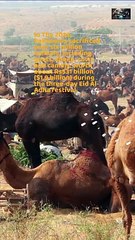 How Much Muslims Spends on Eid-Ul-Adha?