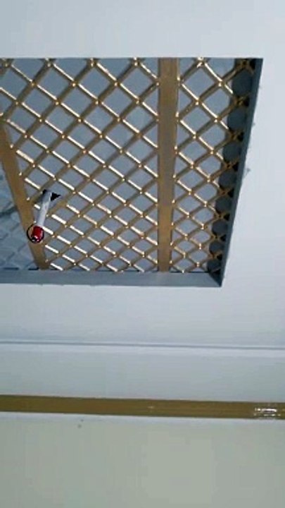Door and ceiling