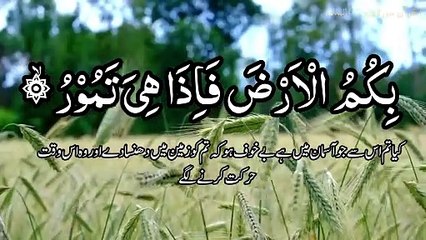 Surah Al MULK _ سورة الملك (The Kingdom) _ Thabaraka _ Al Mulk Full With Arabic Text (HD)(720P_HD)