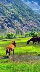 Tourist point# gilgit batistan# pakistan