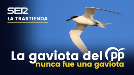 Lagaviota del PP, el puño y la rosa del PSOE y los colores en política