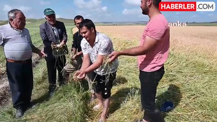 Yozgat'ta Dolu ve Sel Tarım Alanlarına Zarar Verdi