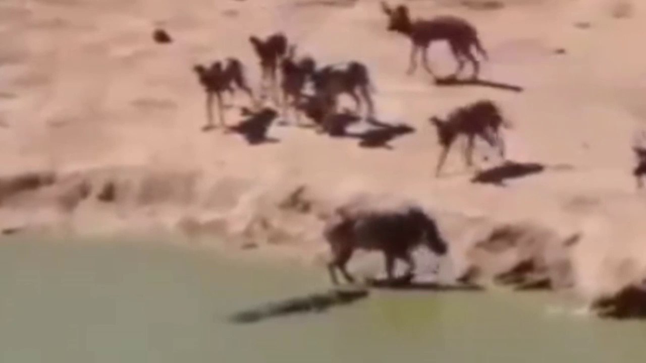 Terrible Attack