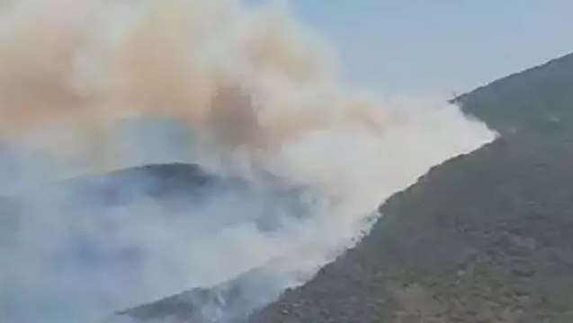 İzmir’in Urla ilçesinde orman yangını