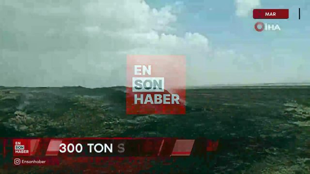 Mardin’de 300 ton saman balyası kül oldu