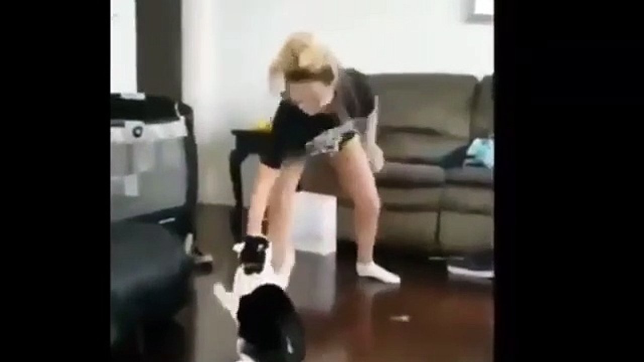 Cat_vs_Girl_Street_Fighter_Cat