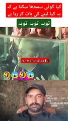 یہ کیا لینے کی بات کر رہیں ہیں  #dailymotion