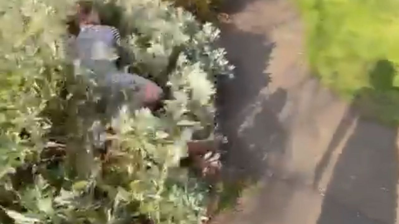 Guy realizes the perils of dating a prankster after being shoved into a bush during scenic seaside walk