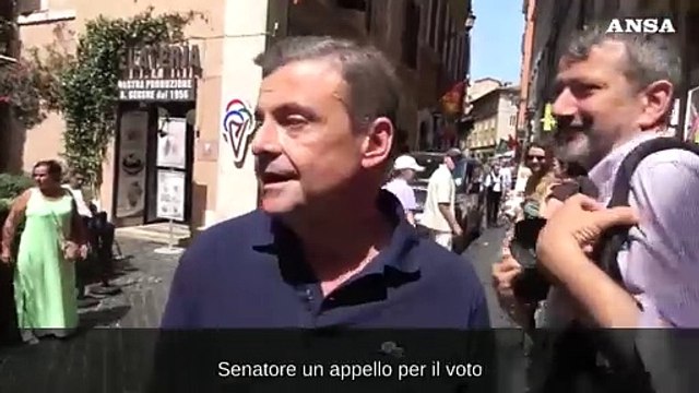 Europee, Calenda: Andate a votare, l'Europa e' vostra