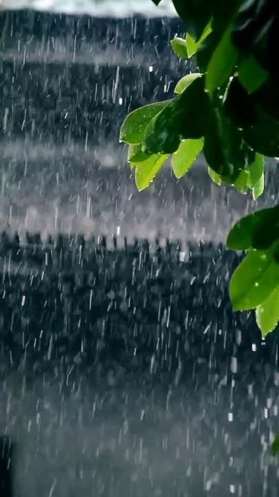 Rains day for you