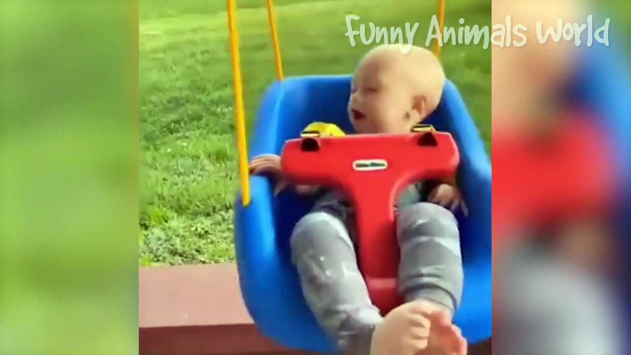 Funniest Cat And Dog Videos   Best Funny Animals _1080p