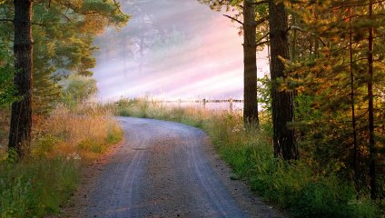 Beautiful Nature _ DRONE _ Free HD Videos - ARM OF FAMILY