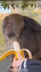 بجلی کا بل آنے کے بعد کی صورتحال