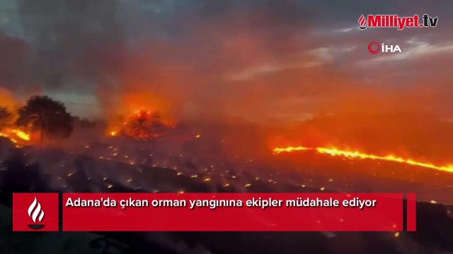 Adana'da korkutan orman yangını! Ekipler bölgede