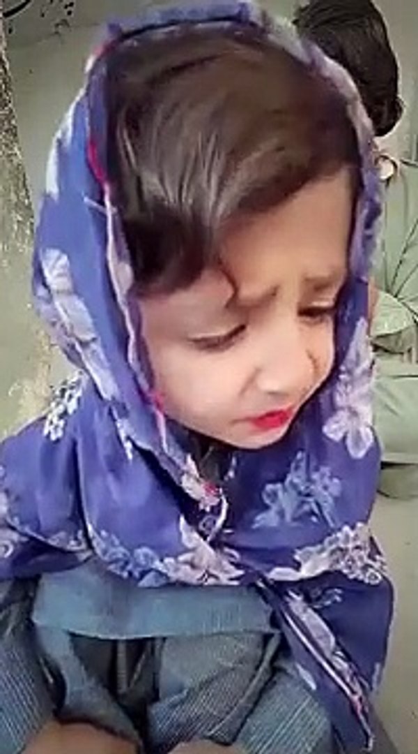 Funny video Entertainment