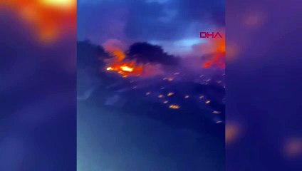 Adana’da orman yangını: Ekipler müdahaleye başladı
