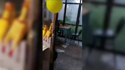 Hospital Max Peralta Overview