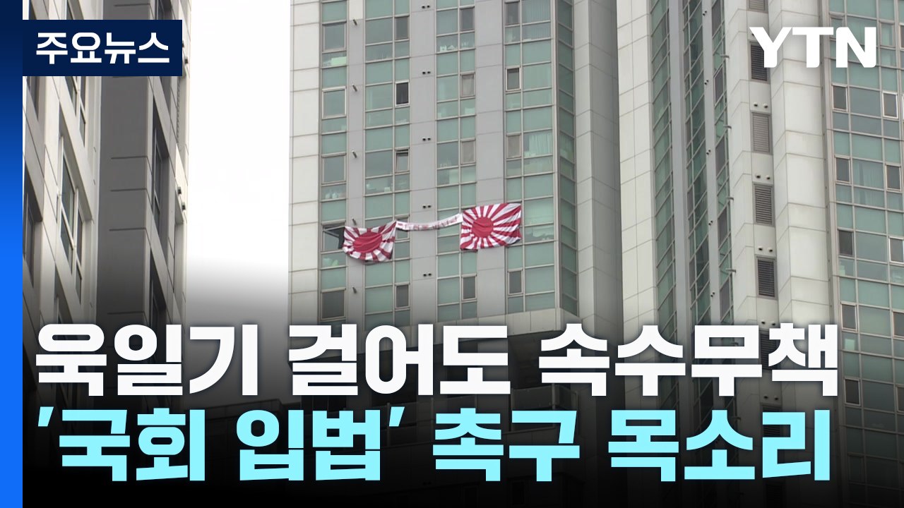 욱일기 버젓이 걸어도 '방법이 없네'..."국회 나서야" / YTN