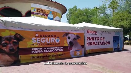 Gobernadora Marina del Pilar resalta esfuerzos en materia de hidratación en Baja California