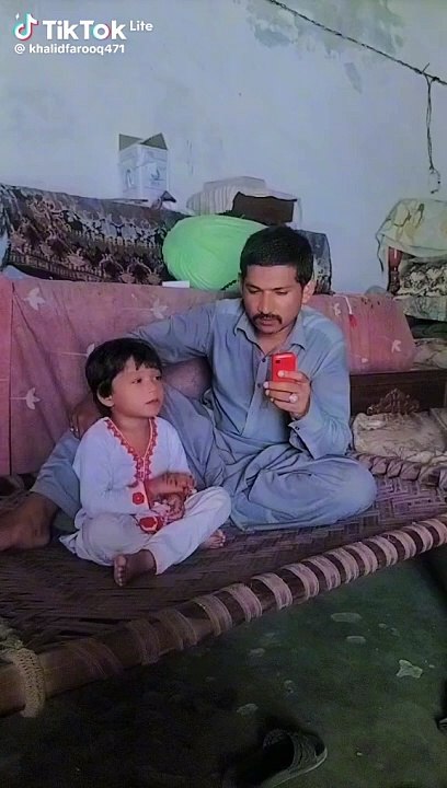 Funny videos