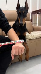 #fuuny#video#Dailymotion