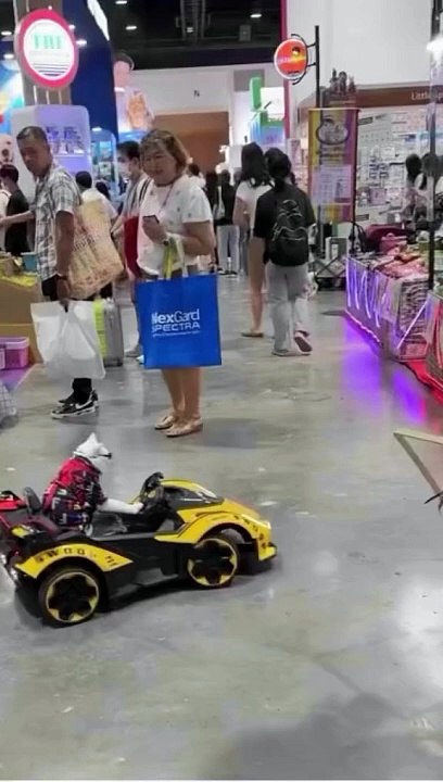 Cat Drive
