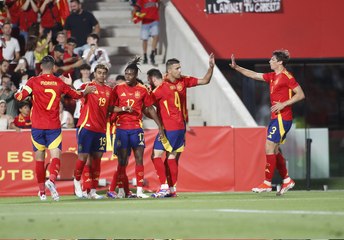 EN FRY ESP NIR 3MHL 240608