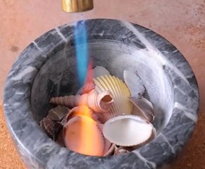 Become a seashell chic with these earrings right from the ocean!