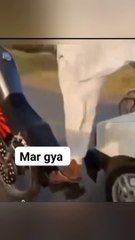 Bike stunts dangerous of life