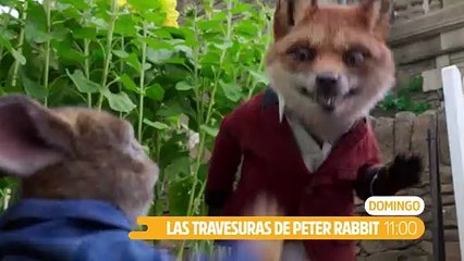Las aventuras de Peter Rabbit
