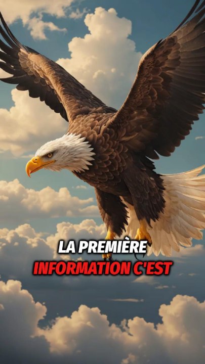5 infos insolites sur les aigles royaux