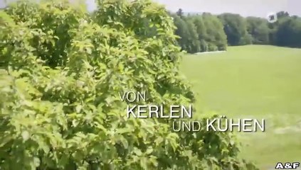 Utta Danella -27- Von Kerlen und Kühen