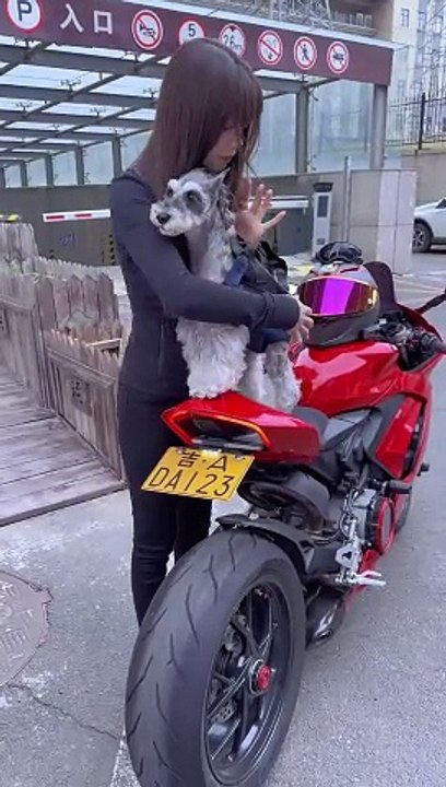 Bike rider