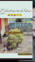 Shorts, funny shorts, funny videos,memes, mems , funny memea