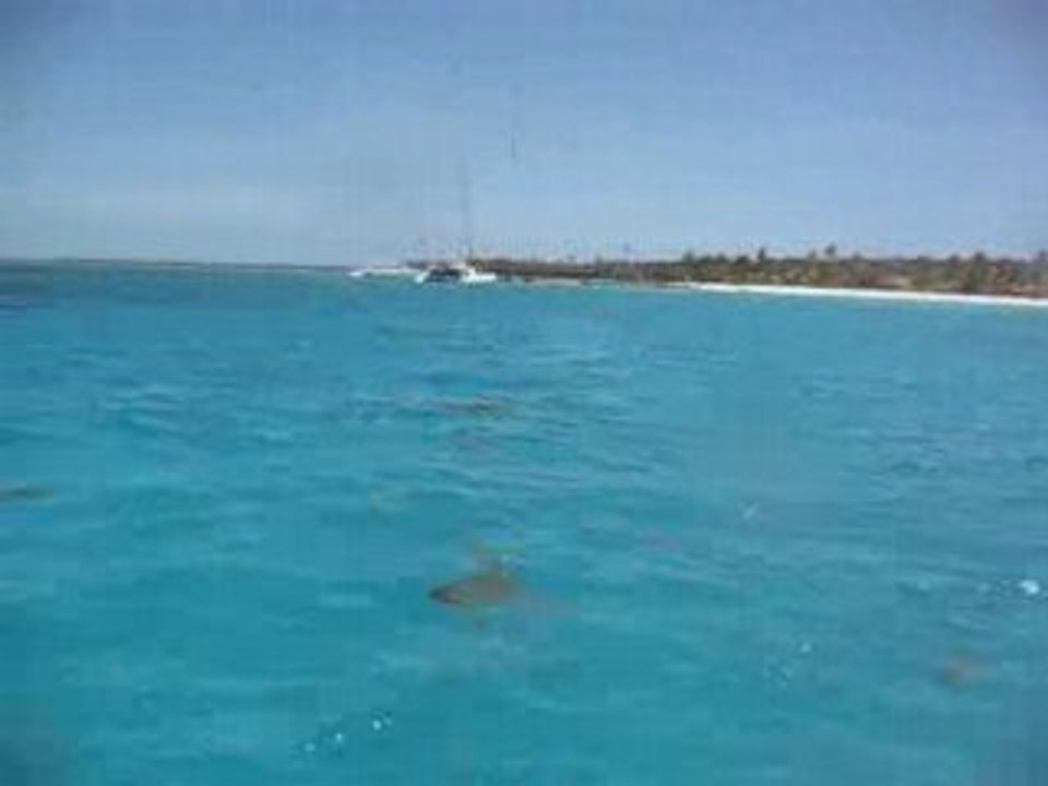 Retour de plongée à Saona en bateau rapide 05 04 2008