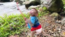Monkey Baby Bon Bon go fishing and plays with Ducklings and puppy in the swimming pool