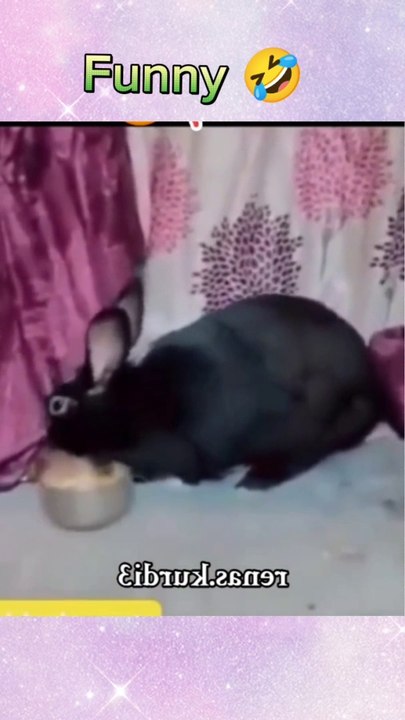 Very funny video 