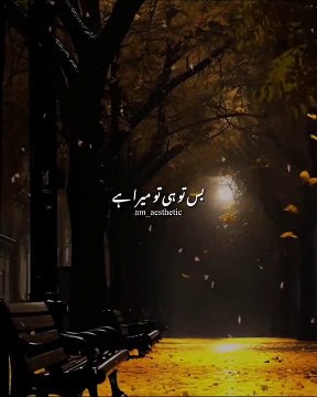 C8FDD7C2-CC6E-4DAF-8012-5E40E99CD5A6