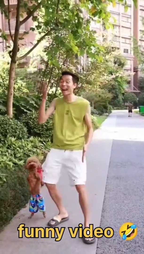 Funny moments funny video