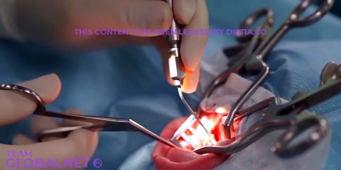 Clinical embryology of inner ear ENT
