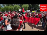 JUST IN: Pro-Palestine Protestors Surround White House Lawn In Protest Of War In Gaza