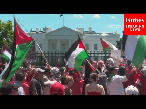 JUST IN: Protestors Calling For Israel-Hamas Ceasefire Gather On White House Lawn